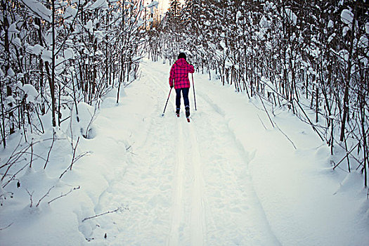 少女,越野滑雪,后视图,俄罗斯