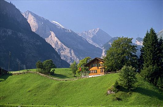 山坡,木房子,伯恩高地,瑞士