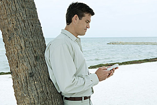 男人,倚靠,树干,海滩,看,手机