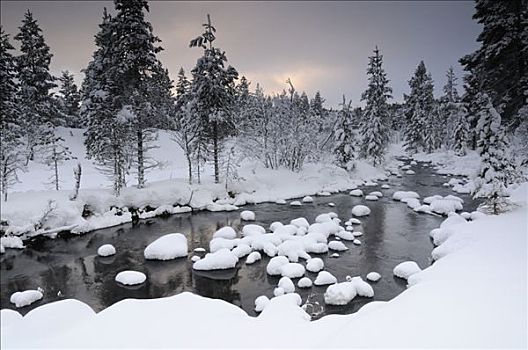 溪流,冬季风景,挪威