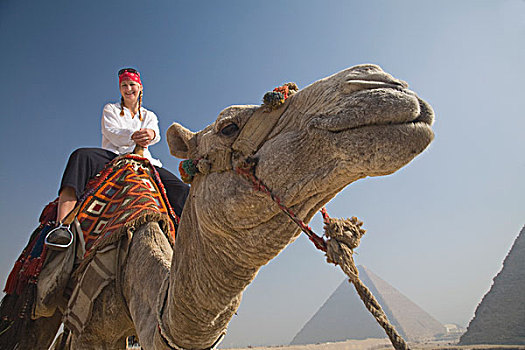 女青年,游客,骆驼,吉萨金字塔,开罗,埃及,非洲