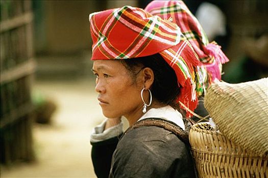 越南,北方,北河,部族,女人