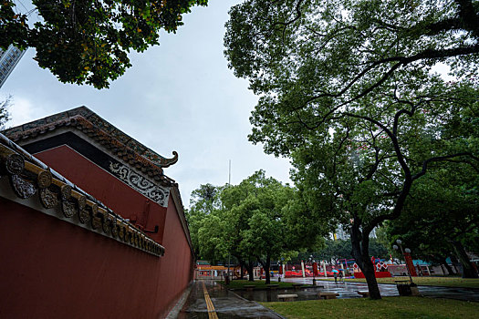 广州三月春雨中的广州图书馆和农讲所红墙绿瓦绿树