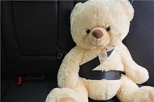 泰迪熊,安全带
