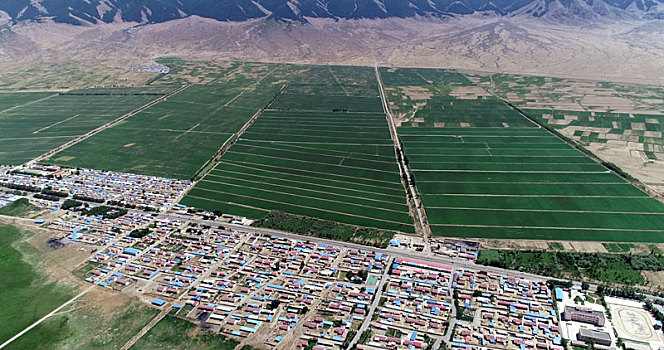 新疆巴里坤,航拍草原和农田,阡陌纵横如画