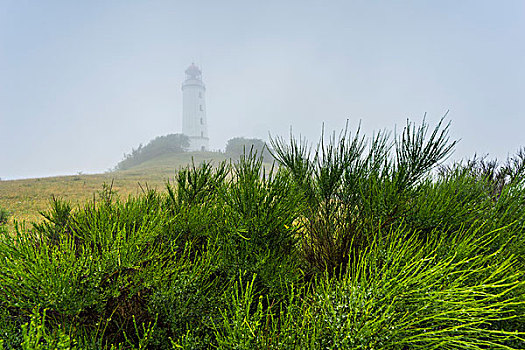 波罗的海,海岸,灯塔,岛屿