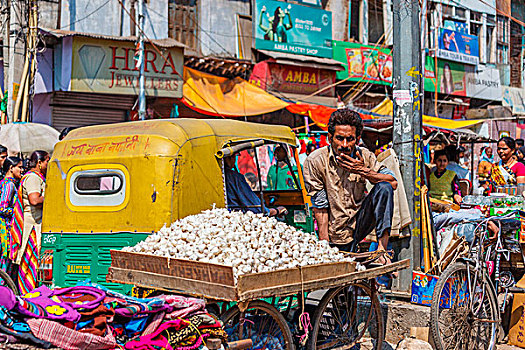 印度,德里,一个,男人,销售,蒜,街道