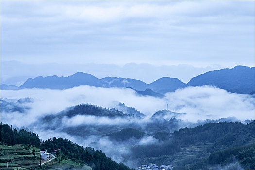 中国重庆酉阳,万木丛中腾白雾