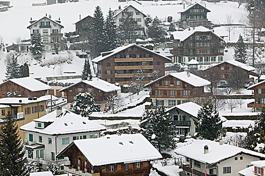 瑞士,沃州,城堡,城镇景色,冬天