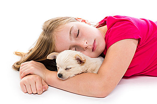 金发,儿童,女孩,小狗,吉娃娃,宠物,狗,睡觉,躺着,白色背景