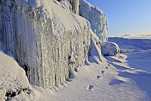 瑞典,北方,拉普兰,湖,冰层,冰柱