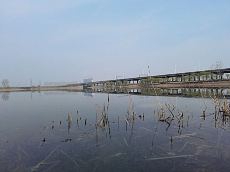 湖泊,渭河湿地,自然风光,湿地公园河流,西安渭河生态区,渭河河堤公园河流与,河畔风光,城市建筑,灞渭湿地,渭河,城市景观,杨凌渭河湿地公园