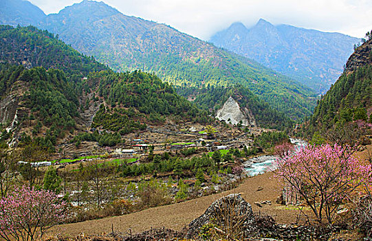 尼泊尔,农场,乡野,喜马拉雅山,上升,远景,靠近,乡村,遥远