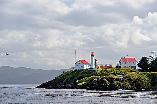 灯塔,岛屿,温哥华岛,不列颠哥伦比亚省,加拿大