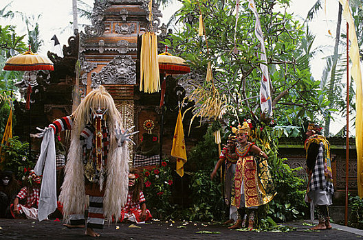 印度尼西亚,巴厘岛,跳舞,捆绑,树上