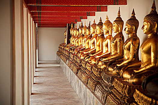 坐,金色,佛像,排列,卧佛寺,曼谷,泰国