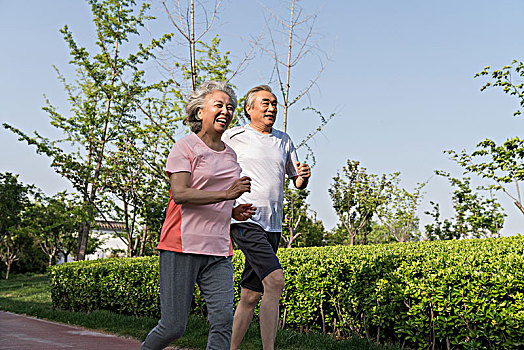 老年夫妻健康运动