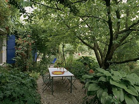 花园,桌子,椅子,植物,树