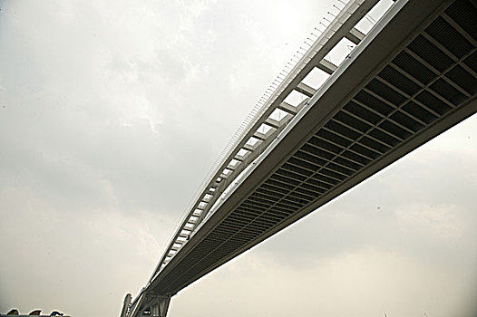 上海黄浦江卢浦大桥世博园