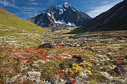 景色,顶峰,山谷,楚加奇州立公园,阿拉斯加,秋天