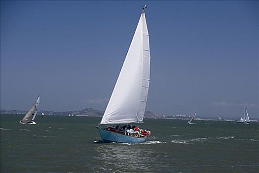 帆船,海中,旧金山,加利福尼亚,美国