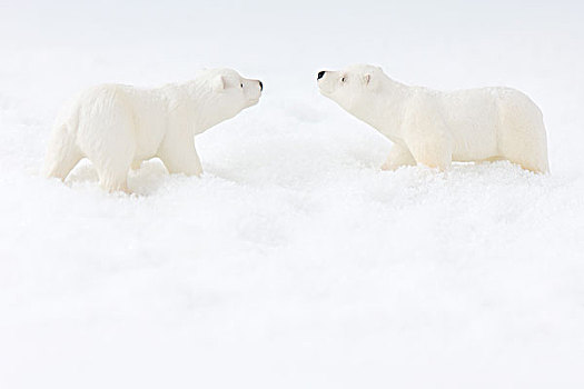 玩具,北极熊,雪中,面对面,侧面视角