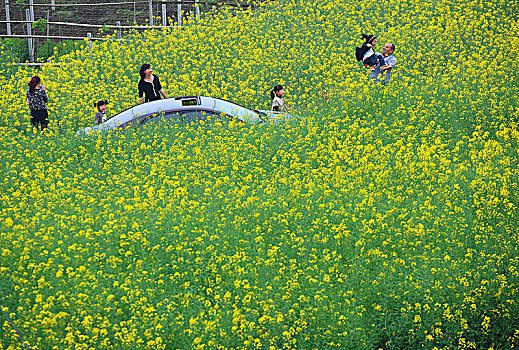 梯田,山村,春意