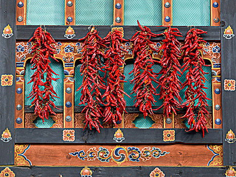 红椒,悬挂,华丽,墙壁,不丹