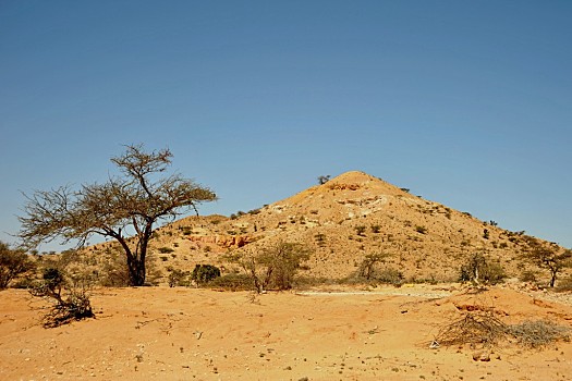 非洲最大的半岛索马里图片