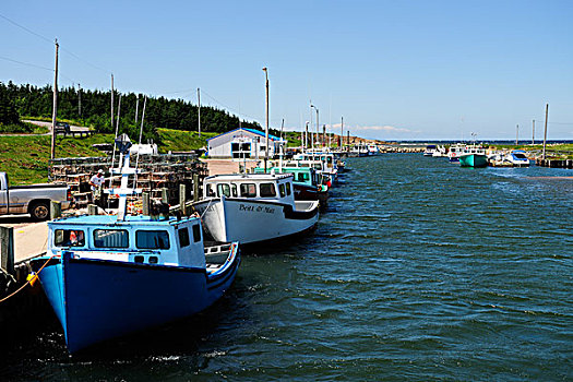船,小,港口,新斯科舍省,加拿大,北美