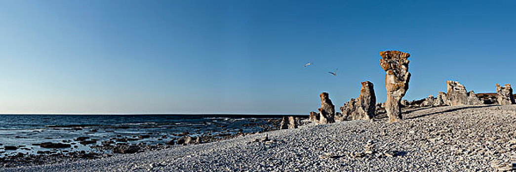 海洋,堆积,哥特兰岛,瑞典