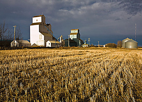 谷仓,土地,艾伯塔省,加拿大