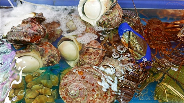 贝类,龙虾,壳,湿,市场