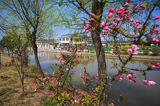大湖契河,春天,公园