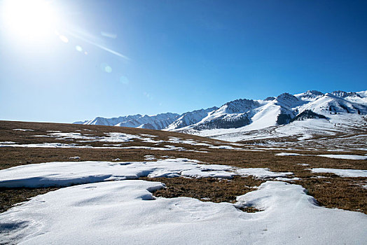 新疆天山的雪