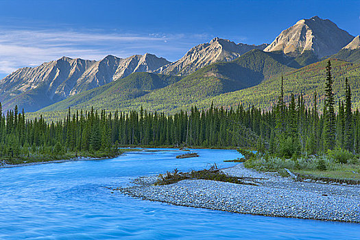 河,通过,树林,库特尼国家公园,加拿大,落矶山,不列颠哥伦比亚省