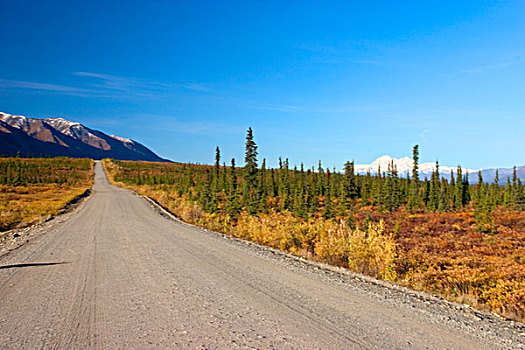 美国,阿拉斯加,山,麦金利山,德纳里峰,公路