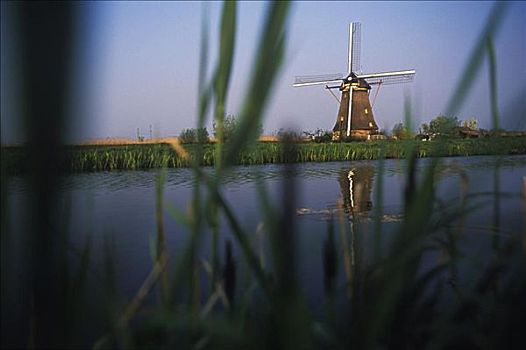 传统风车,靠近,水塘,阿姆斯特丹,荷兰