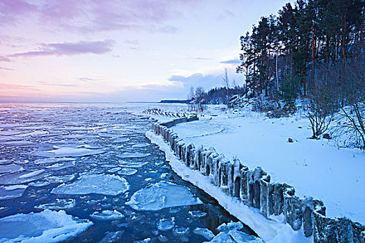 冬天,海边风景,漂浮,冰,碎片,冰冻,海湾,芬兰,俄罗斯