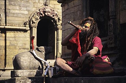 尼泊尔,加德满都,印度教,圣人,坐,街道,烟袋
