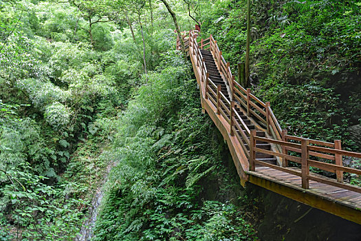 万盛黑山谷景区步行栈道