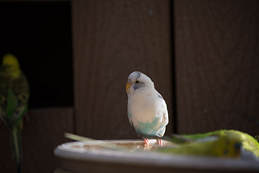 进食