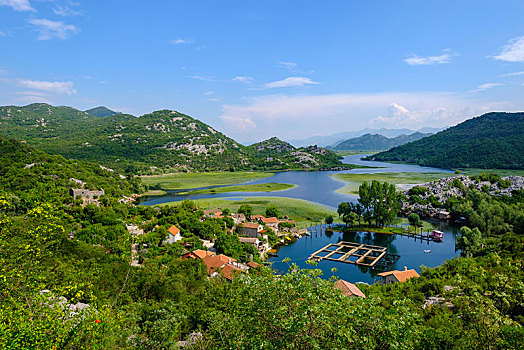 乡村,湖,国家公园,靠近,黑山,欧洲