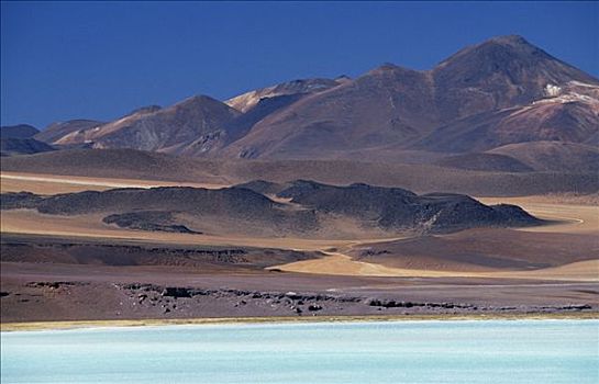 碧绿色,水,泻湖,阿塔卡马沙漠,智利
