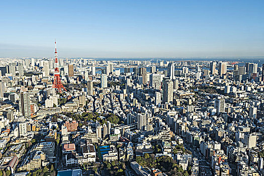 东京塔,高层建筑,建筑,东京,日本