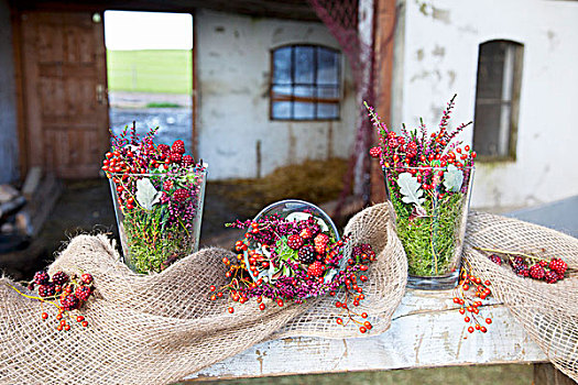 野玫瑰果,黑莓,石南花,苔藓,玻璃