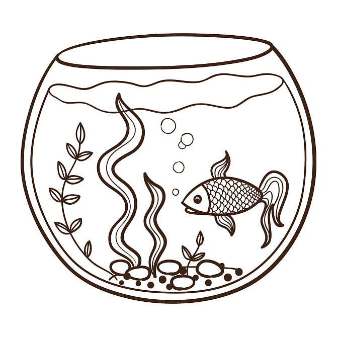 水族箱图片_水族箱图片大全_水族箱图片下载