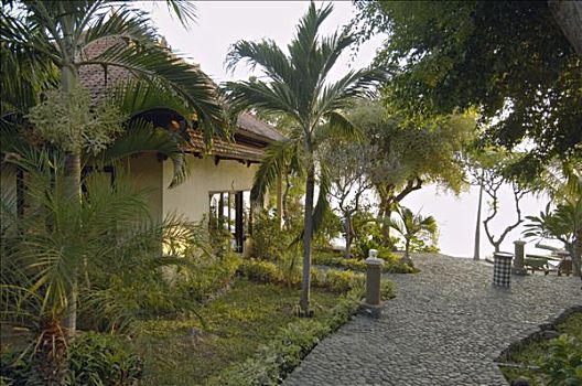印度尼西亚,巴厘岛,酒店,棕榈树,小路,海洋,背景