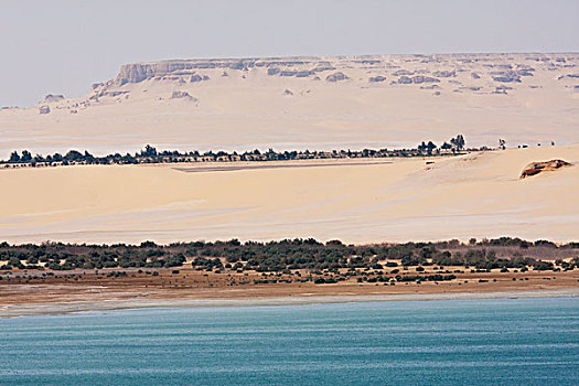 湖,旱谷,埃及