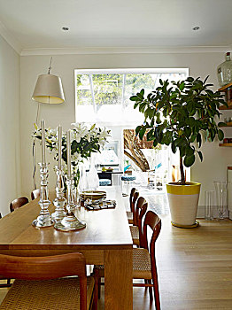 玻璃,烛台,橡树,餐桌,相配,椅子,正面,橡胶,植物,靠近,宽,入口,背景
